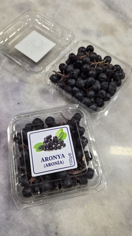 Taze Aronya 100 g – Şale Ambalaj
