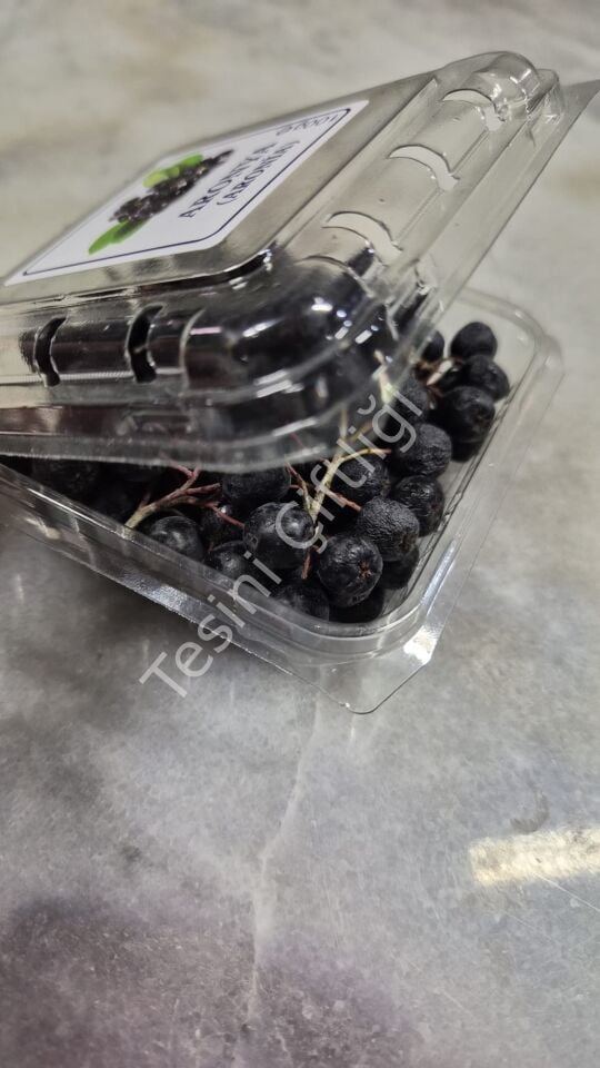 Taze Aronya 100 g – Şale Ambalaj