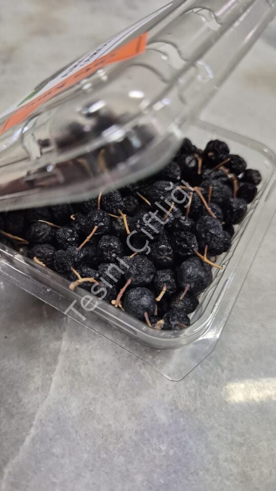 Orta Kuru Aronya 100 g – Şale Ambalaj