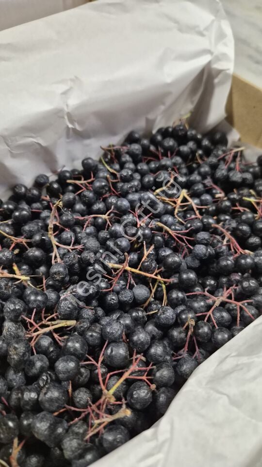 Taze Aronya 1000 g – Karton Kutu Ambalaj