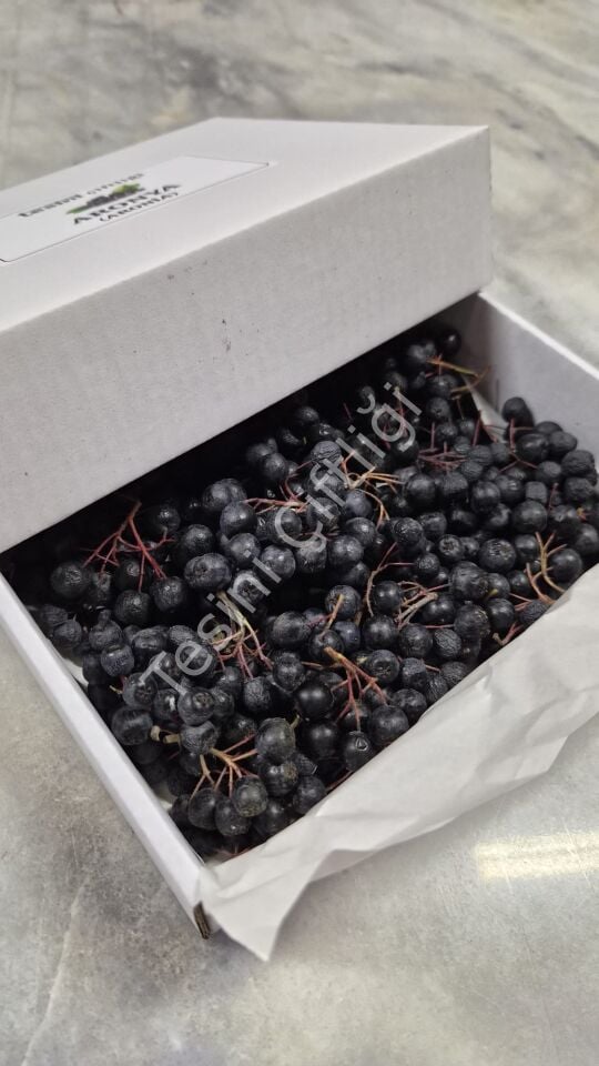 Taze Aronya 500 g – Karton Kutu Ambalaj