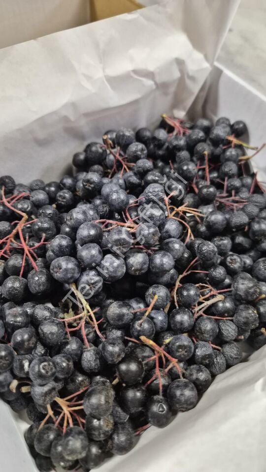Taze Aronya 500 g – Karton Kutu Ambalaj