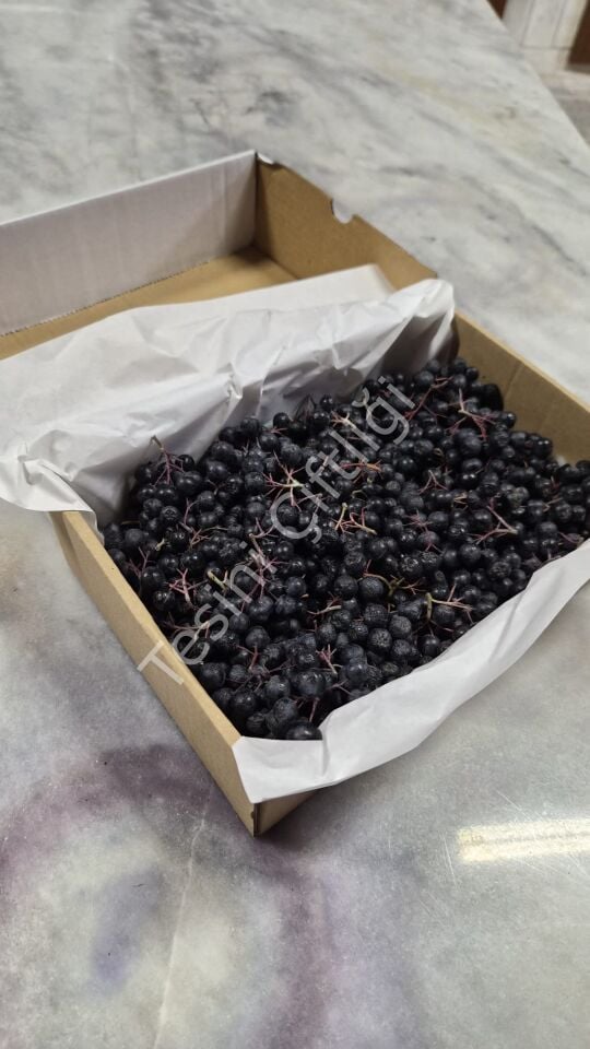 Taze Aronya 1500 g – Karton Kutu Ambalaj