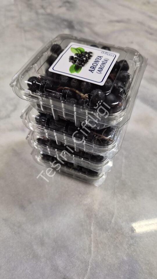 Taze Aronya 100 g 4'lü Kutu – 4 × 100 g Şale Ambalaj